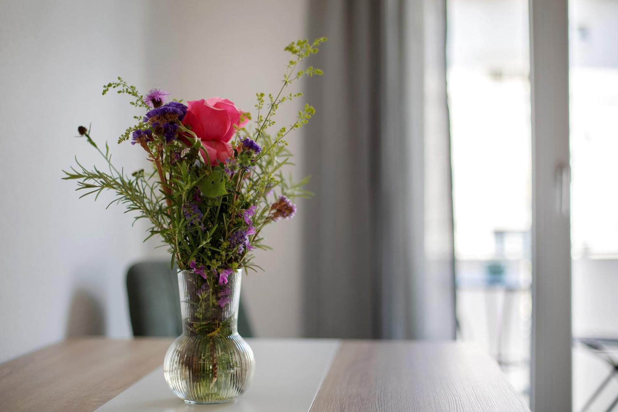 Ferienwohnung Muenster, Sehr Zentral Freiburg im Breisgau Luaran gambar